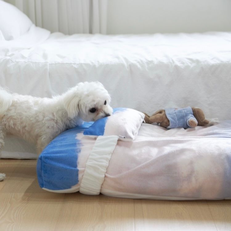 【残り一点】Jeju Landscape Pet Cushion