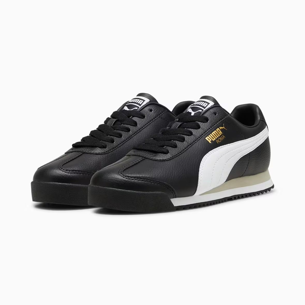 【残り一点】Roma 24 Standard
