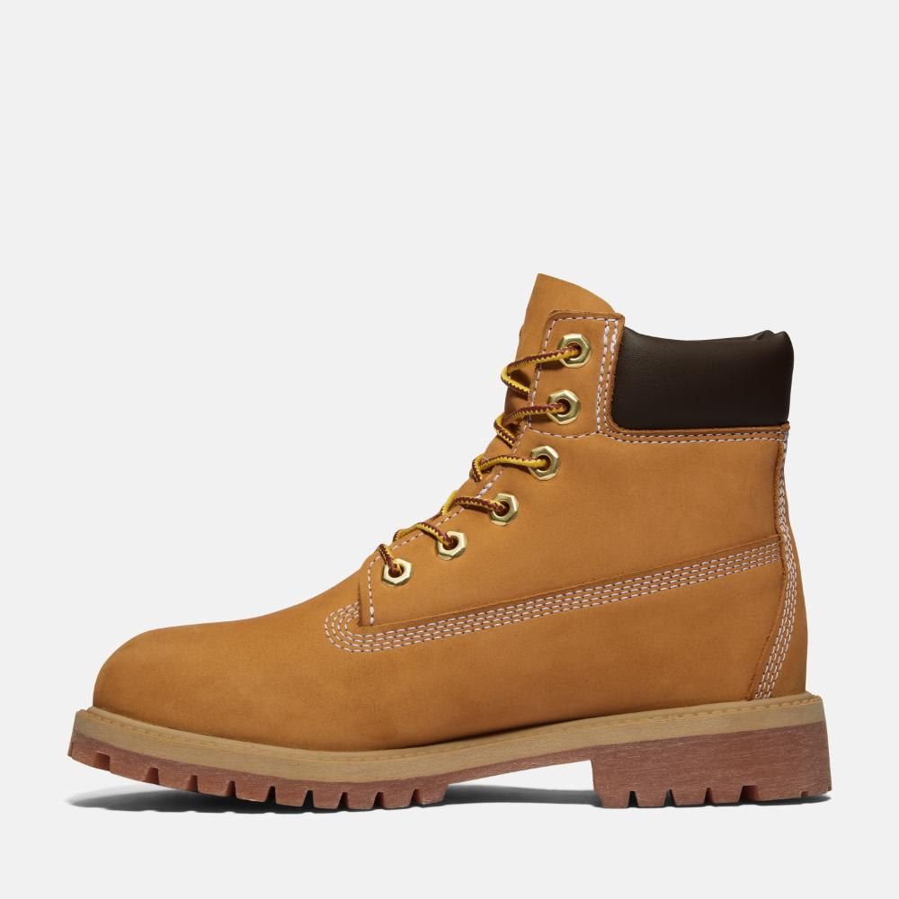 【残りわずか】6in Premium Boots WP(KIDS)
