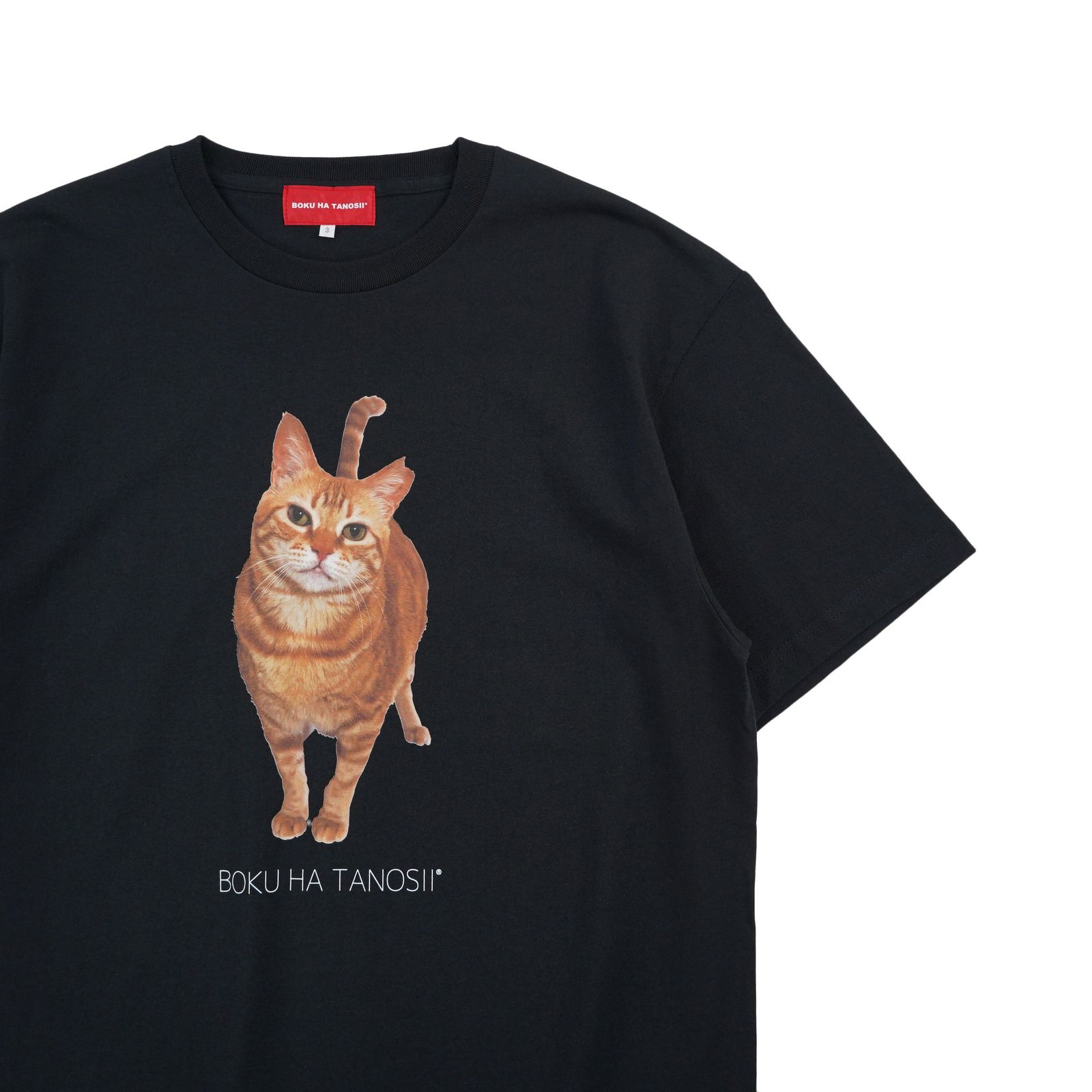 【残り一点】Science Photo Tee(HOUSE CAT)