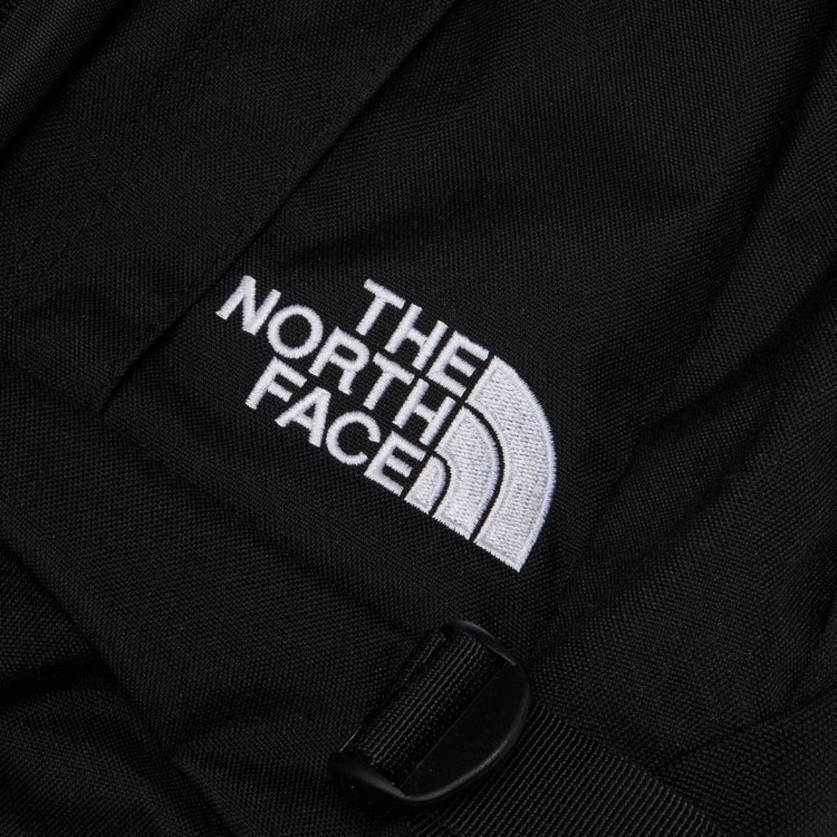 【残り一点】Kinkajou