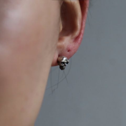 【残り一点】Alien Skull Pierce