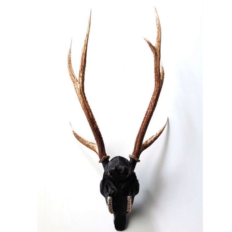 【お取り寄せ注文可能】Revive Deer Head