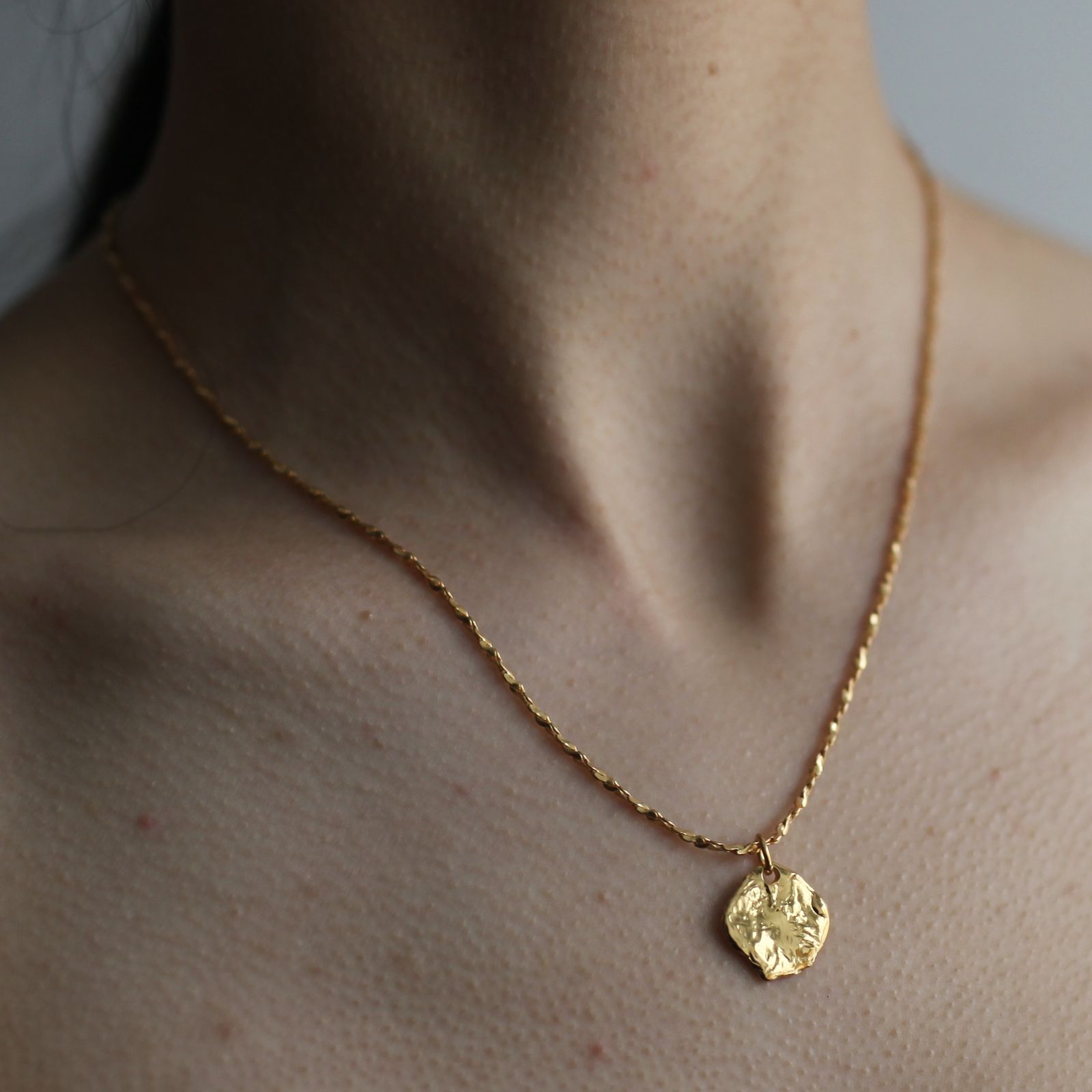 【お取り寄せ注文可能】Coin Necklace
