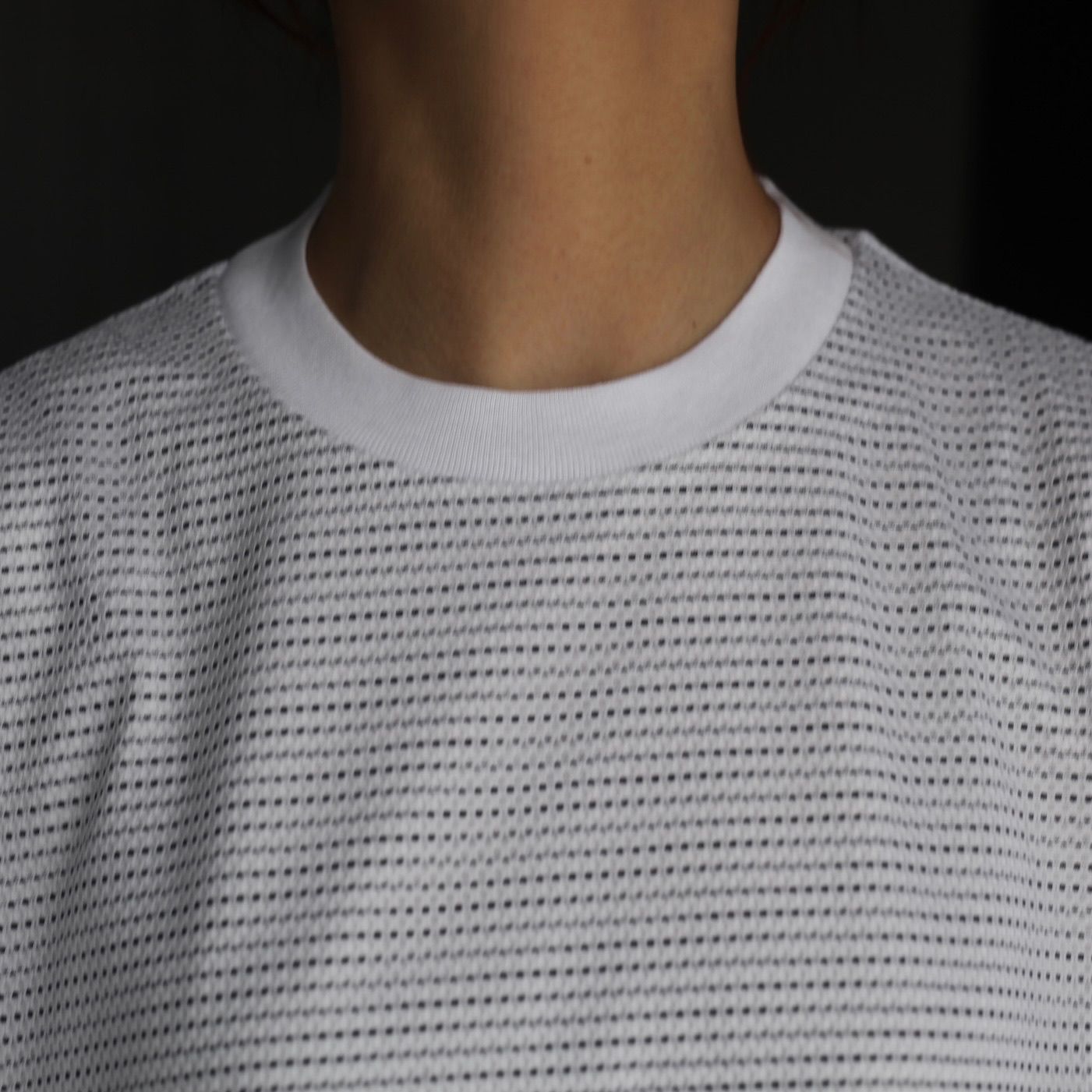 is-ness - 【残り一点】Balloon Border Layered Mesh T-shirt