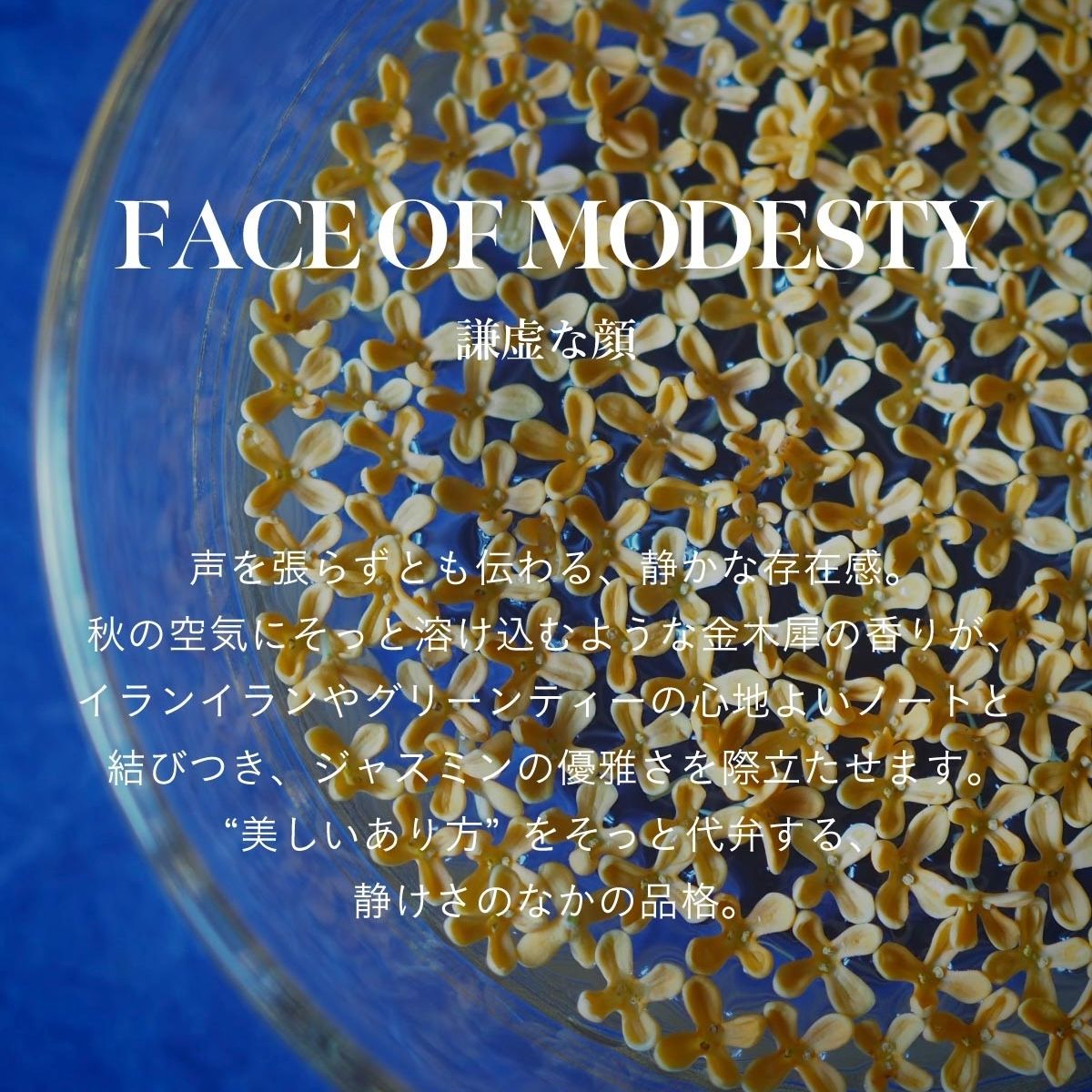 【残り一点】ヘアオイルミルク 115ml(FACE OF MODESTY)