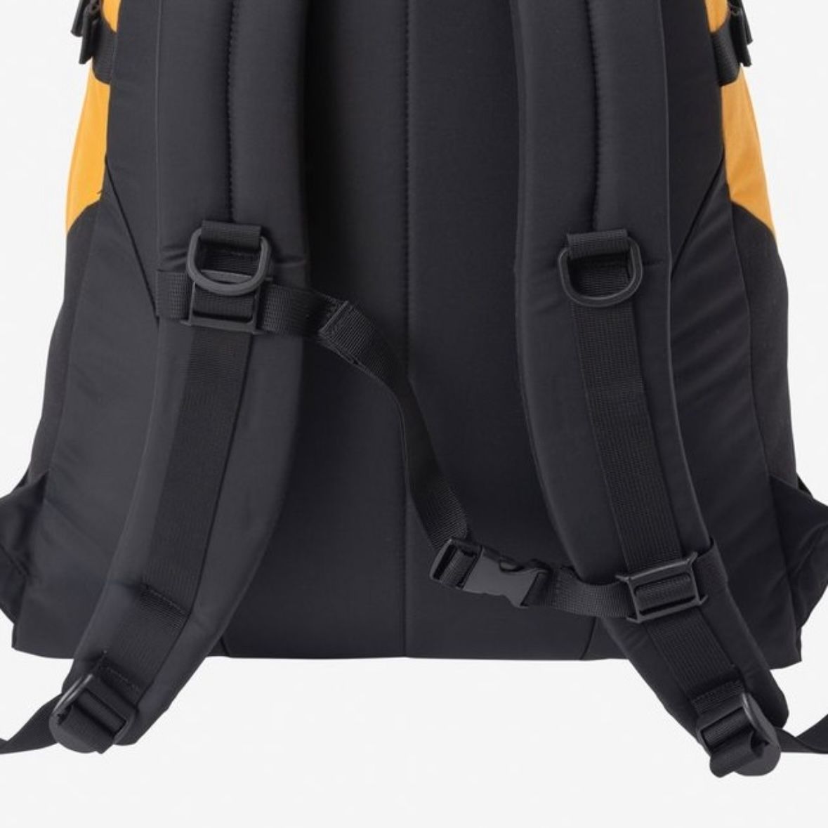 【残り一点】Kinkajou