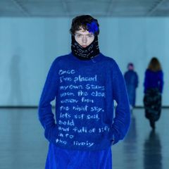 【残り一点】Humboldt's Resolution