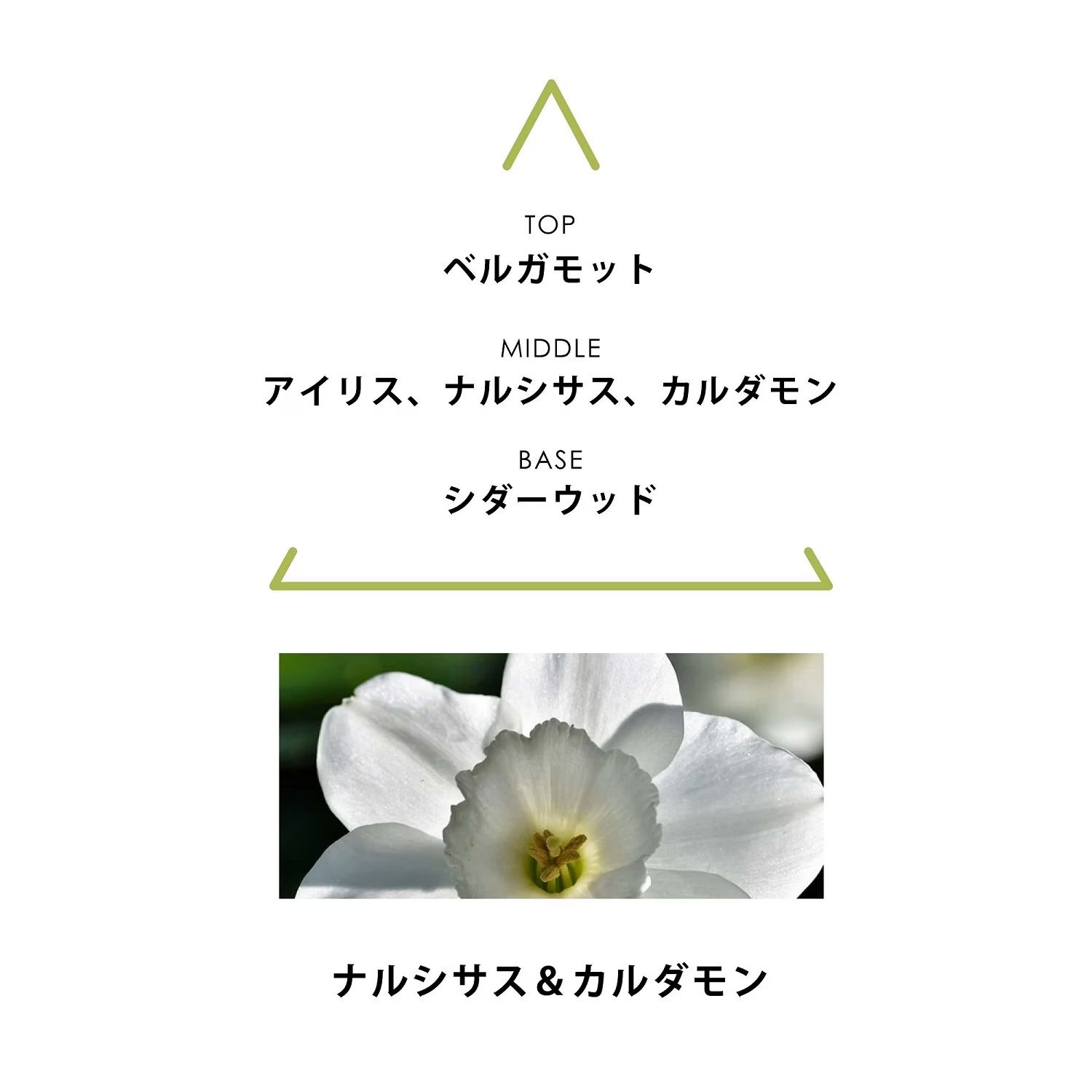 【残りわずか】シンギュラーオードパルファム 10ml(THERIA)