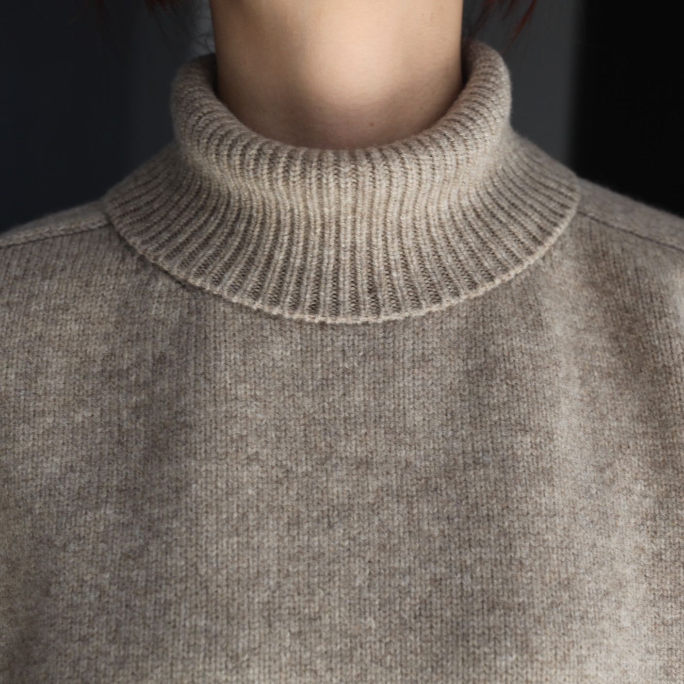 【残り一点】Extra Fine Wool Warm Knit Turtle Neck LS
