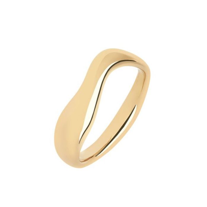 【残り一点】Vayu Ring(GOLD)