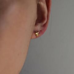 【お取り寄せ注文可能】Mini Star Earrings