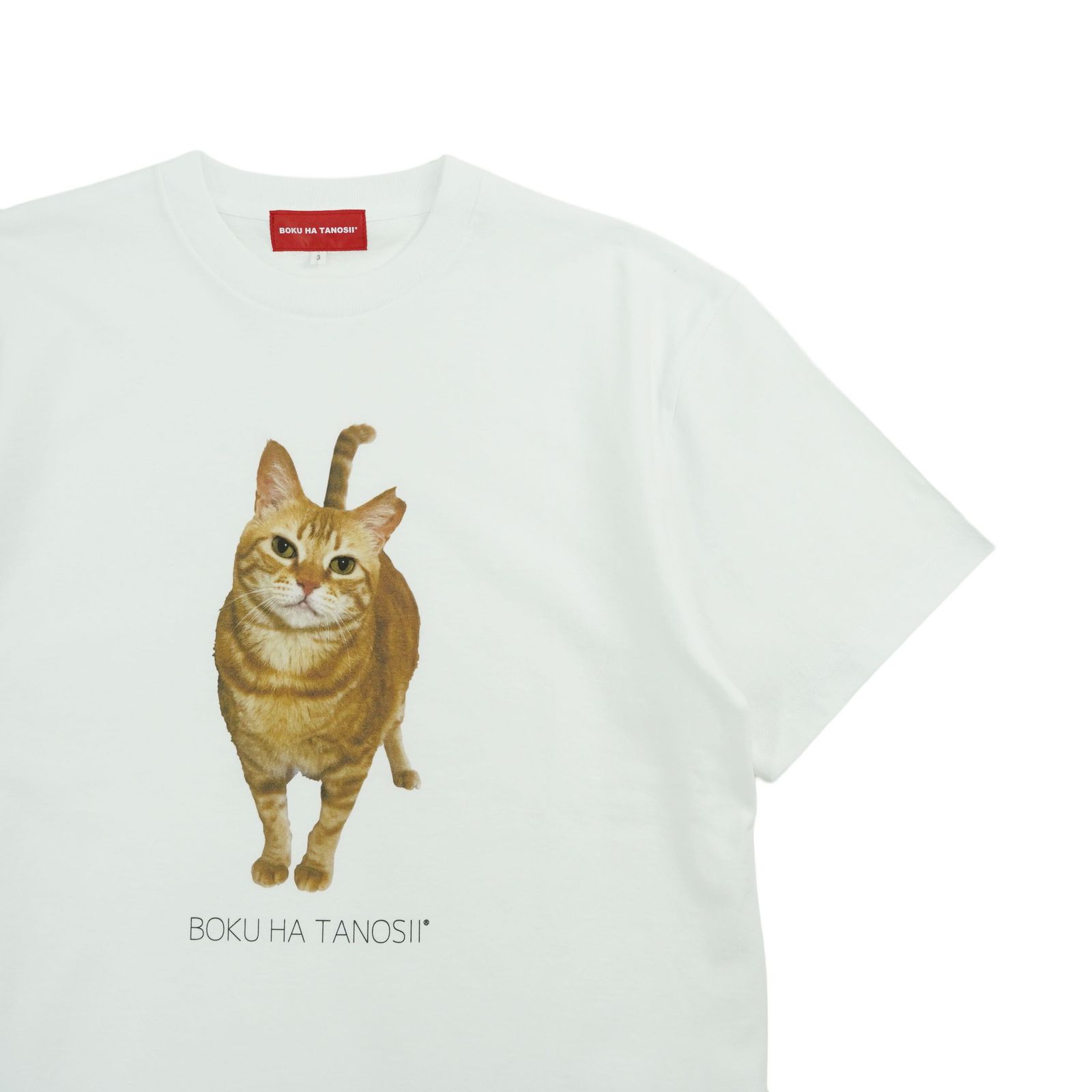 【残り一点】Science Photo Tee(HOUSE CAT)