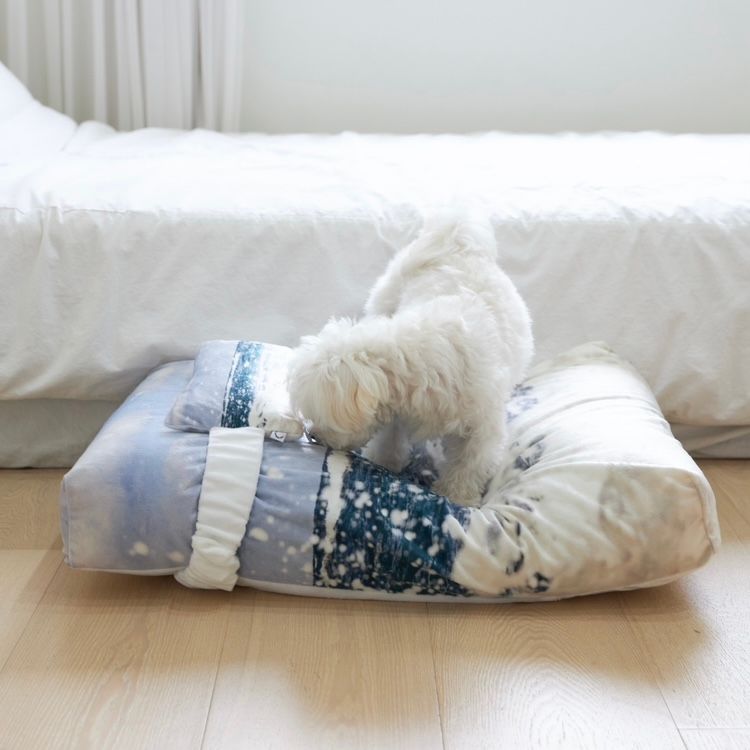 【残り一点】Jeju Westcoast Pet Cushion