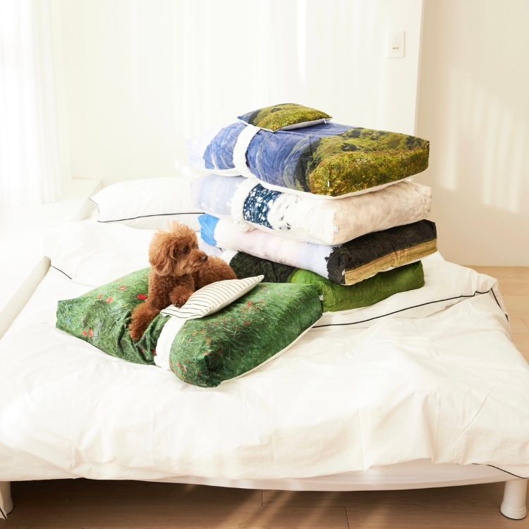 【再販売通知受付可能】Swiss Enjoy Pet Cushion