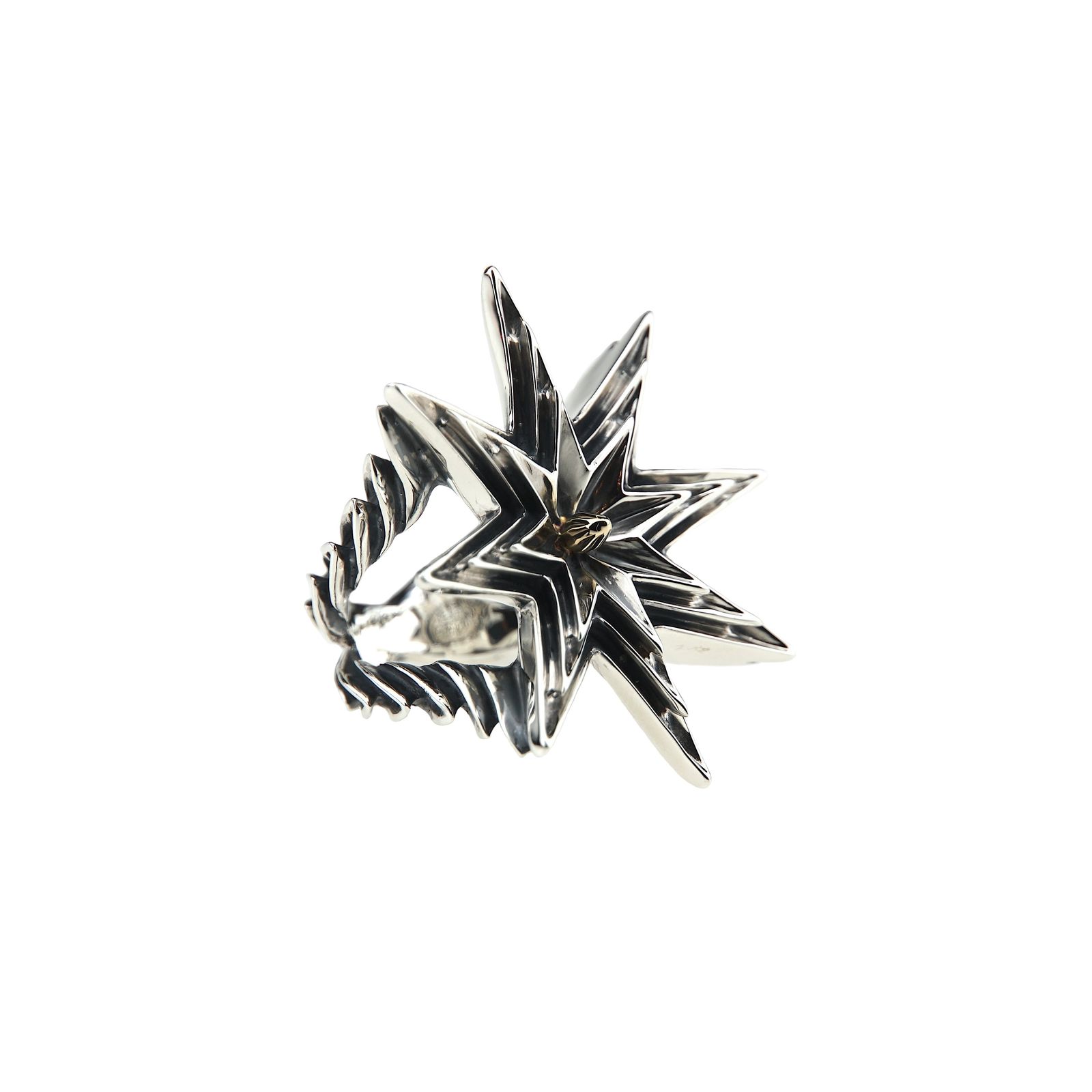 【お取り寄せ注文可能】Compass Ring(SILVER×GOLD)