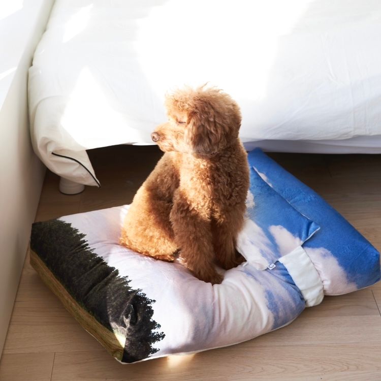 【残り一点】Jeju Landscape Pet Cushion