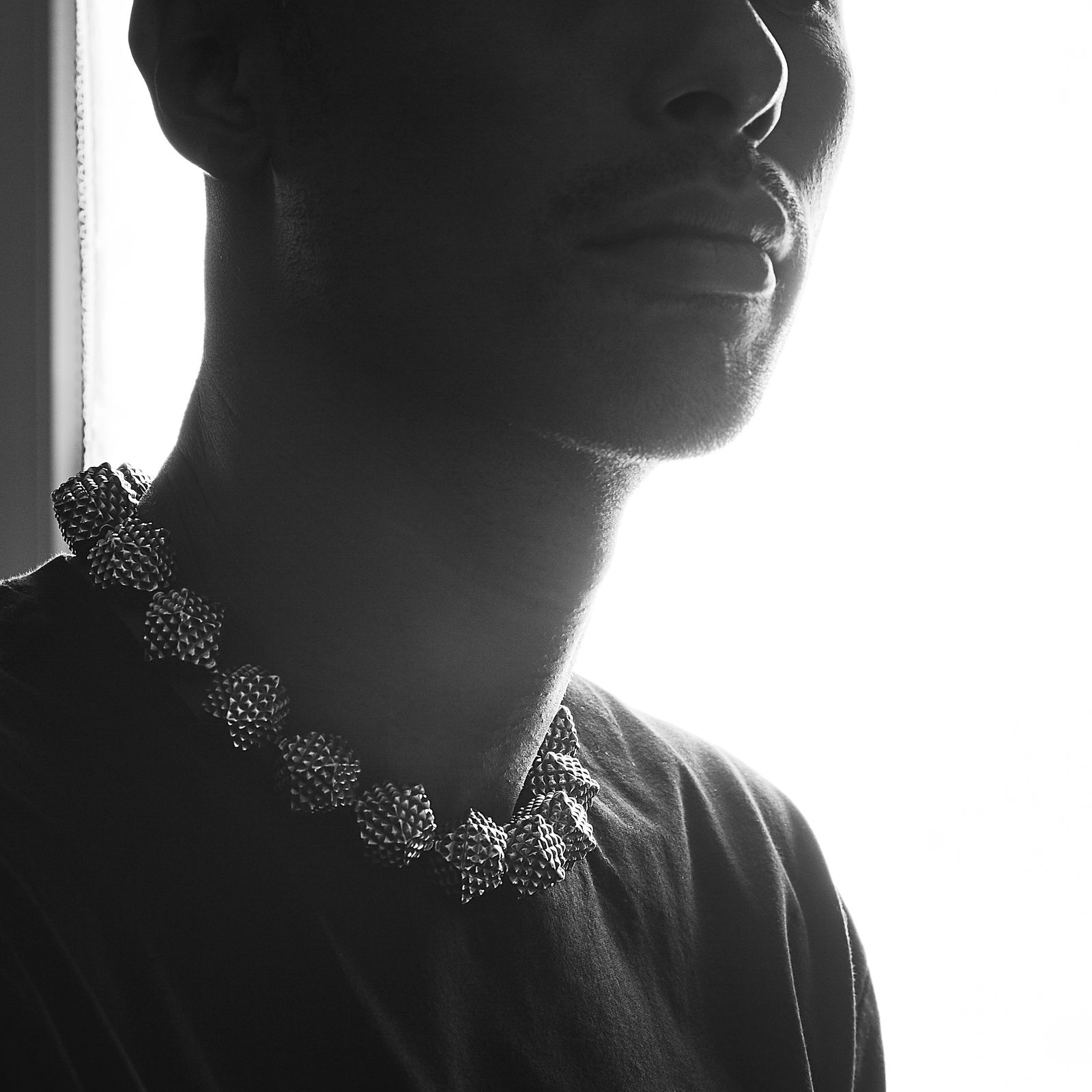 【お取り寄せ注文可能】Microcosm Choker(SILVER)