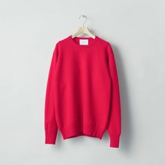 【残り一点】Extra Fine Wool Knit Crew Neck LS