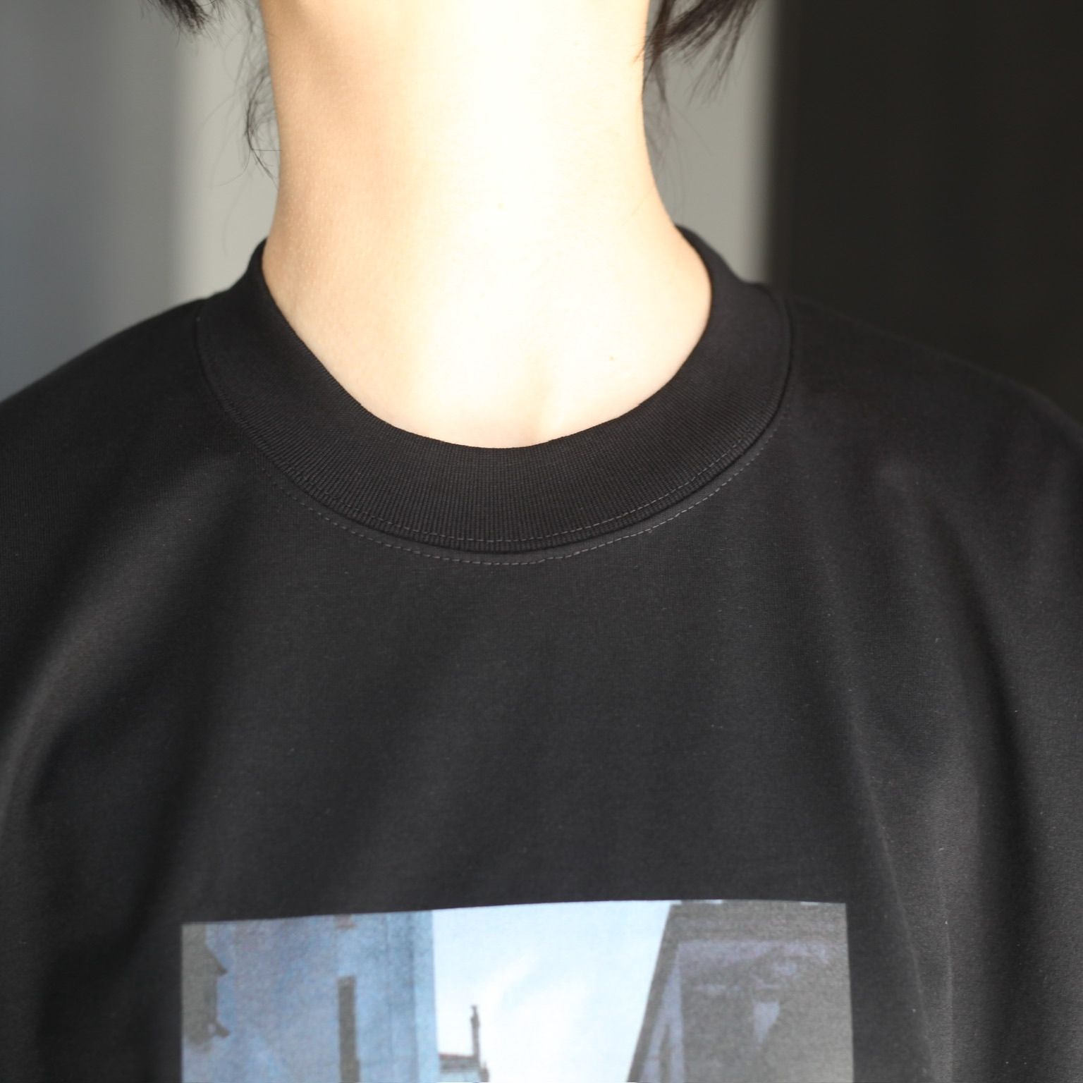 ssstein - 【残りわずか】Print Tee -SHOOT-(SUPERIOR PIMA