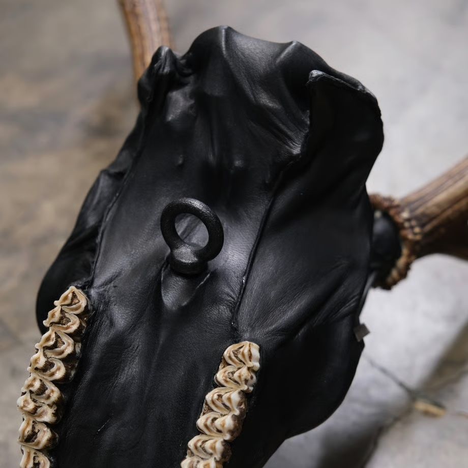 【お取り寄せ注文可能】Revive Deer Head(TIBETAN SKULL)