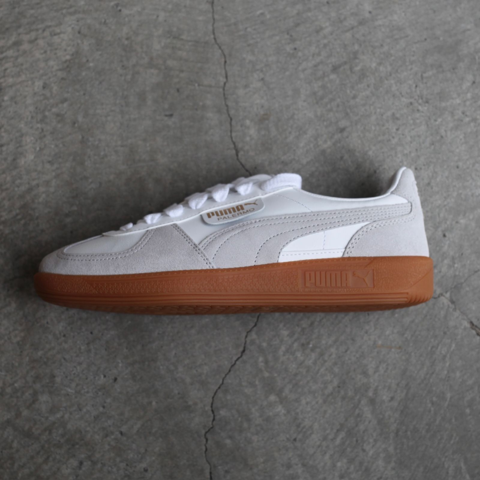 【残り一点】Palermo LTH