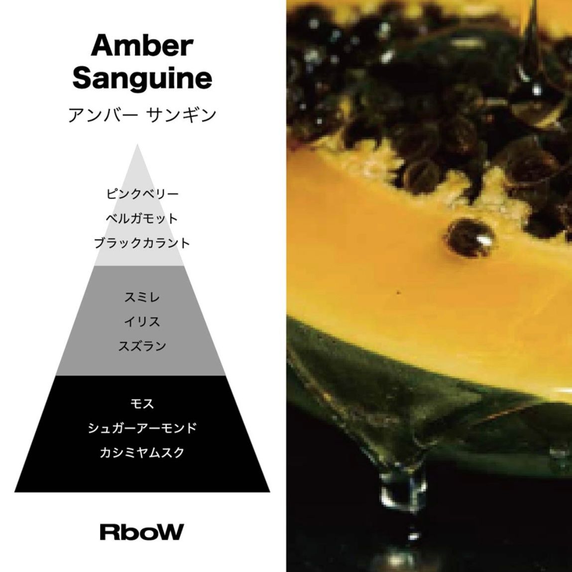 【残りわずか】Case Study Eau De Parfum 30ml(AMBER SANGUINE)