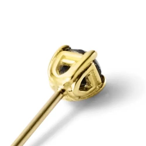 【お取り寄せ注文可能】G-Crown Pierce(K10 YELLOW GOLD×BLACK)