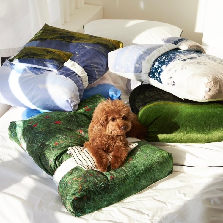 【再販売通知受付可能】Suncheon Blossom Pet Cushion
