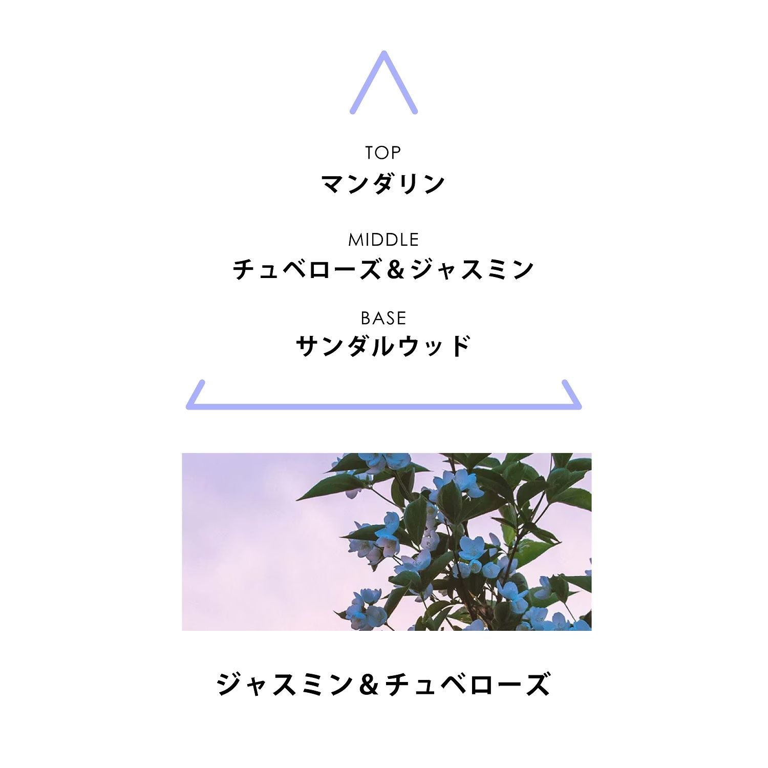 【残りわずか】ボタニカルコロン 10ml(AQUA SACRAE)