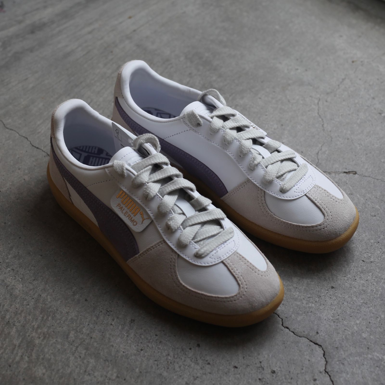 【残り一点】Palermo LTH