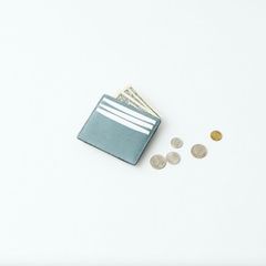 【残り一点】Mini Purse(DEG/VAL)