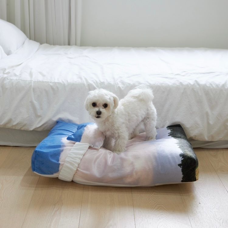 【残り一点】Jeju Landscape Pet Cushion