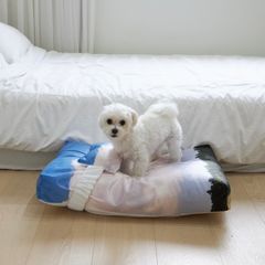 【残り一点】Jeju Landscape Pet Cushion