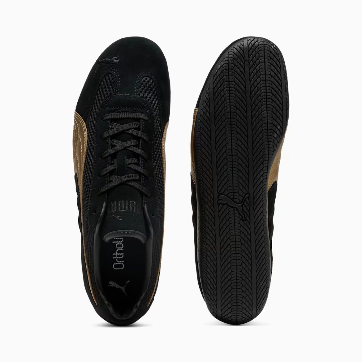 【残り一点】Speedcat Premium