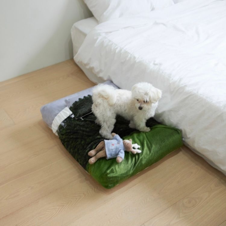 【残り一点】Jeju Orrum Pet Cushion