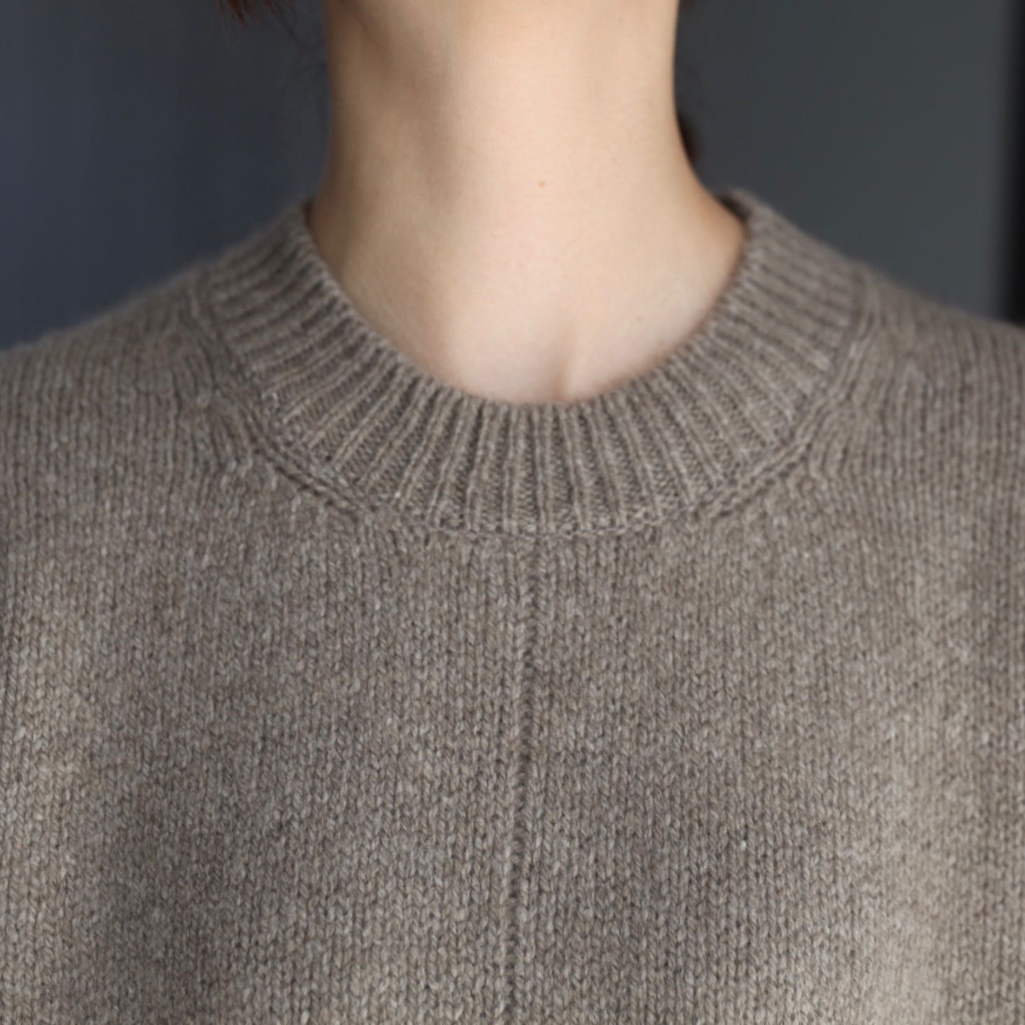 【残り一点】Cashmere/Sable Tweed Knit Crew Neck LS