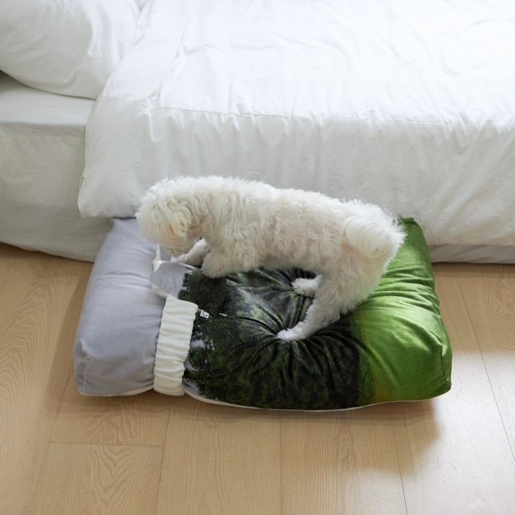 【残り一点】Jeju Orrum Pet Cushion