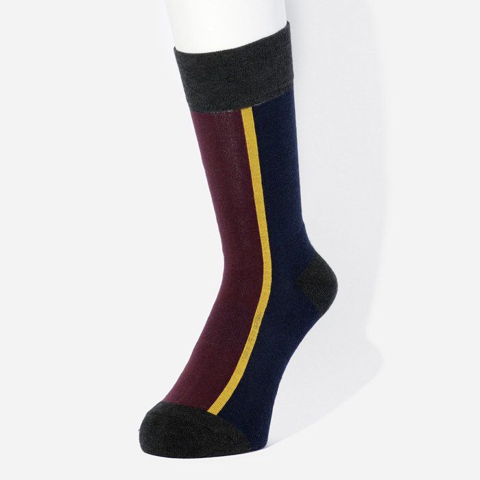 【残りわずか】Center Line Socks