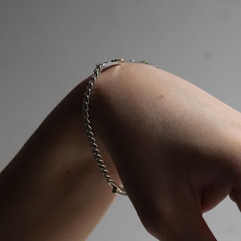 【残り一点】Horse Shoe Buckle Plate Curb Chain Bracelet(18K POINT)