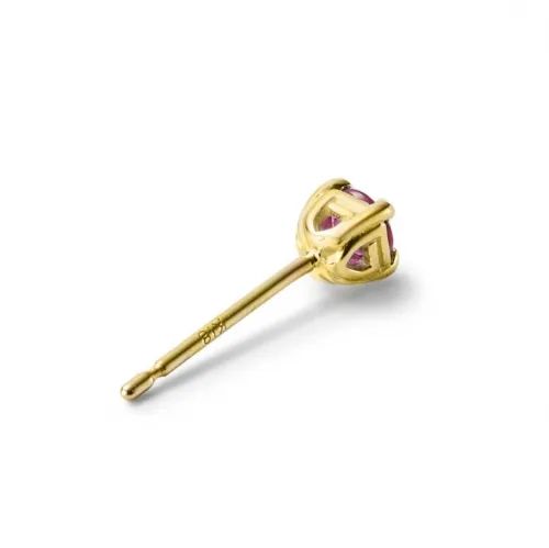 【お取り寄せ注文可能】G-Crown Pierce(K10 YELLOW GOLD×RED)