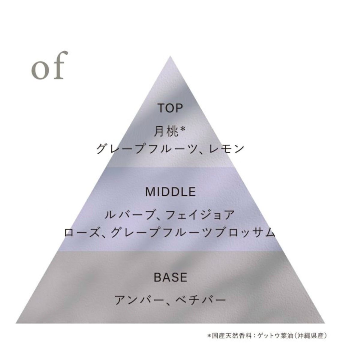【残り一点】Eau De Toilette 45ml(OF)