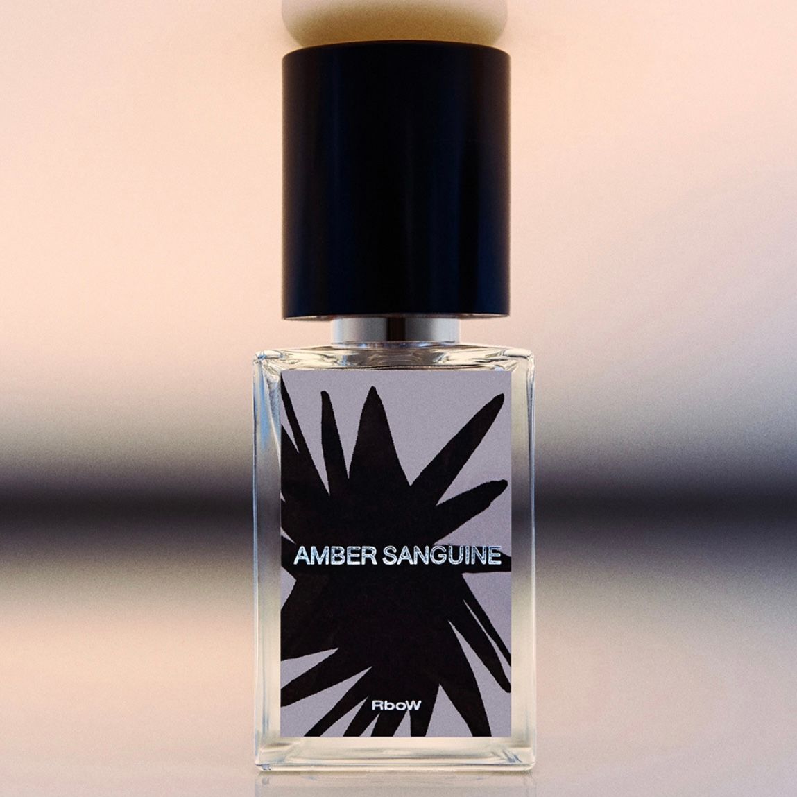 【残りわずか】Case Study Eau De Parfum 30ml(AMBER SANGUINE)