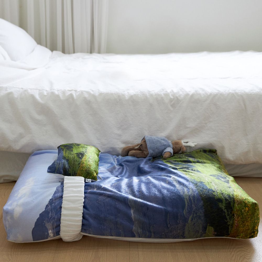 【再販売通知受付可能】Swiss Enjoy Pet Cushion
