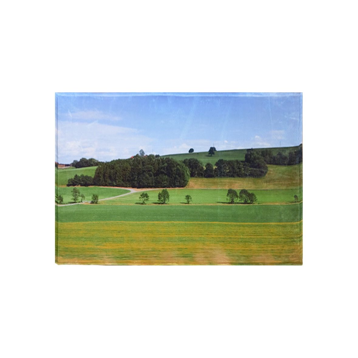 【残りわずか】Swiss Field Rug