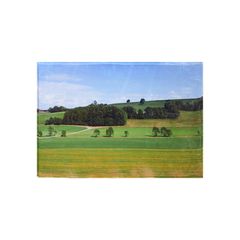 【残りわずか】Swiss Field Rug