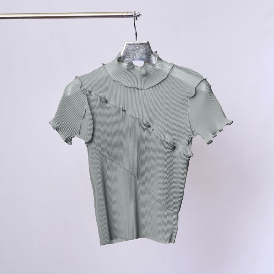 【残り一点】Sheer Short Sleeve High Neck Top