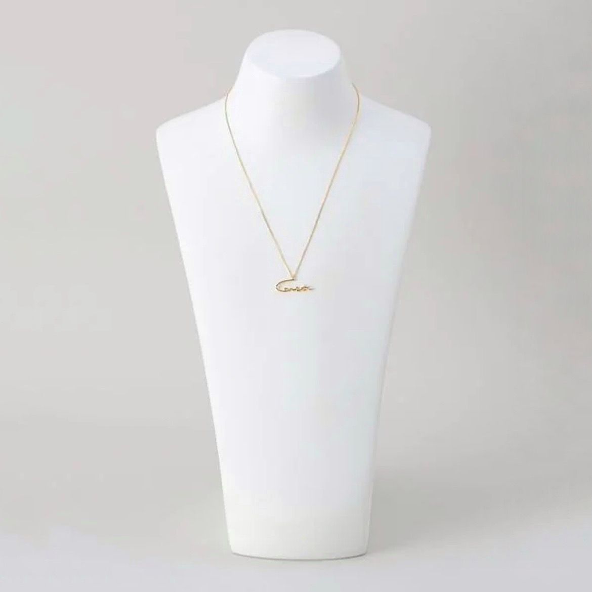 【お取り寄せ注文可能】Connect Necklace