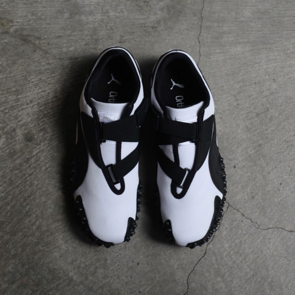 【残り一点】Mostro OG
