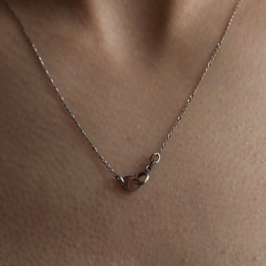 【お取り寄せ注文可能】Pigeon Charm Pendant(SILVER)